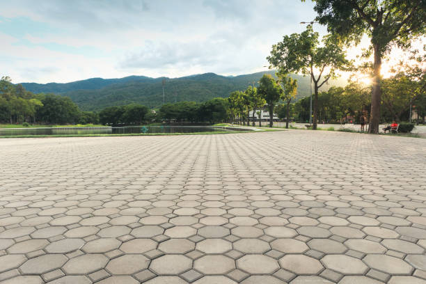 Best Custom Driveway Pavers  in Langley, SC